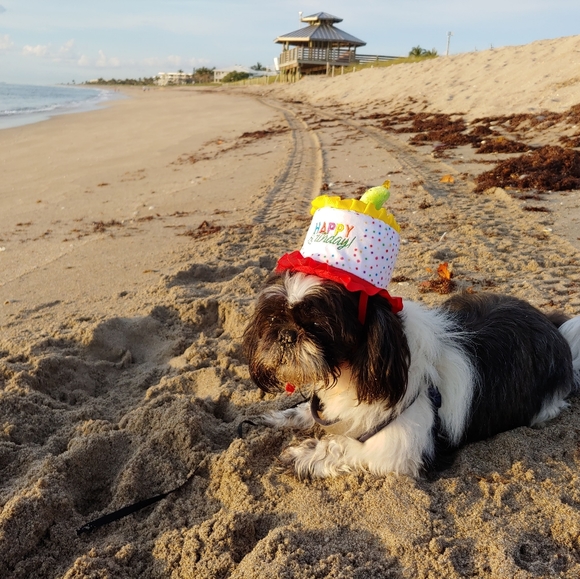 Meet your Posher, Karla - Picture 2 of 5